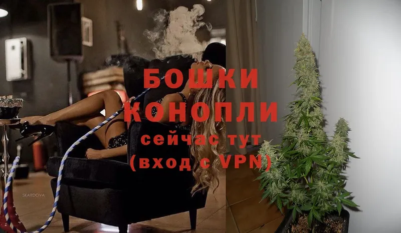 МАРИХУАНА THC 21%  Полярный 